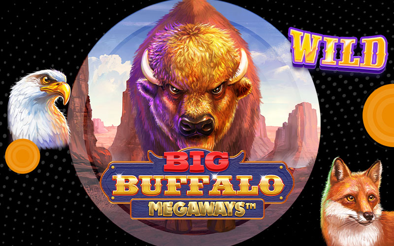 Skywind Big Buffalo Megaways Permainan Mesin Slot Kasino Online Buffalo Bonanza Wajah Desain Grafis Permainan Bertema Hewan