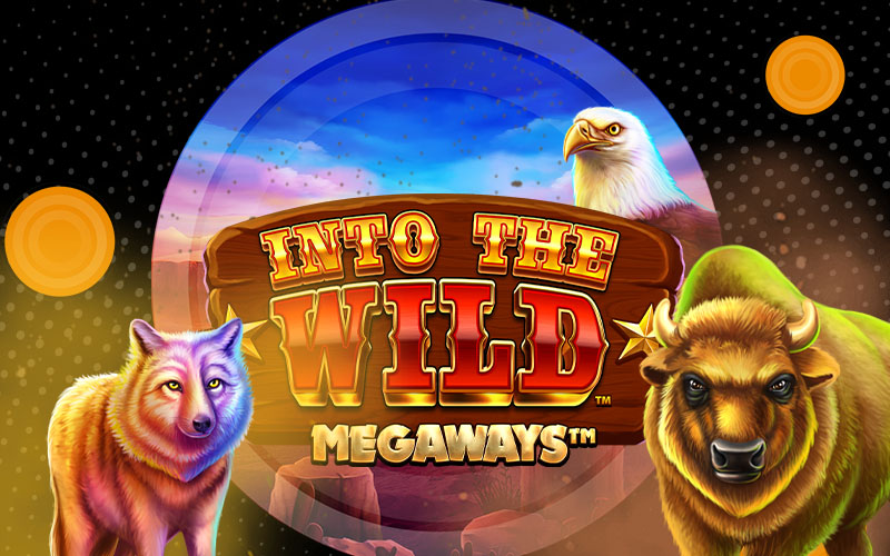 Wilderness online games slot machine Eagle graphic cartoon Wolf Buffalo Lucky Megaways Online gambling gaming