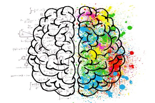 Illustration showing two sides of the brain, one for logic and the other emotion.