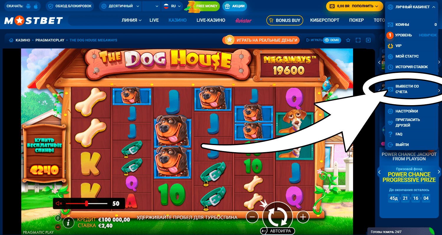 После выигрыша в Dog House Megaways можете вывести деньги