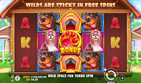 the-dog-house-gameplay