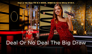 Deal or No Deal™: The Big Draw