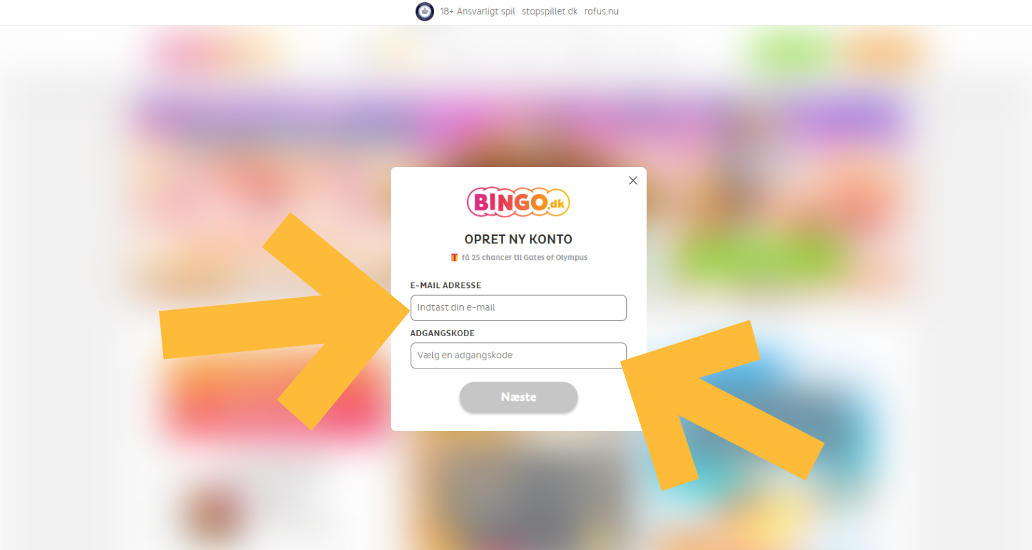 Indtast din e-mailadresse, og opret en adgangskode