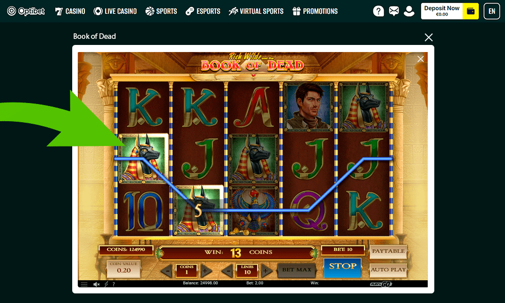 Jätka mängimist ja panuste tegemist Book of Dead