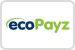 Ecopayz icon