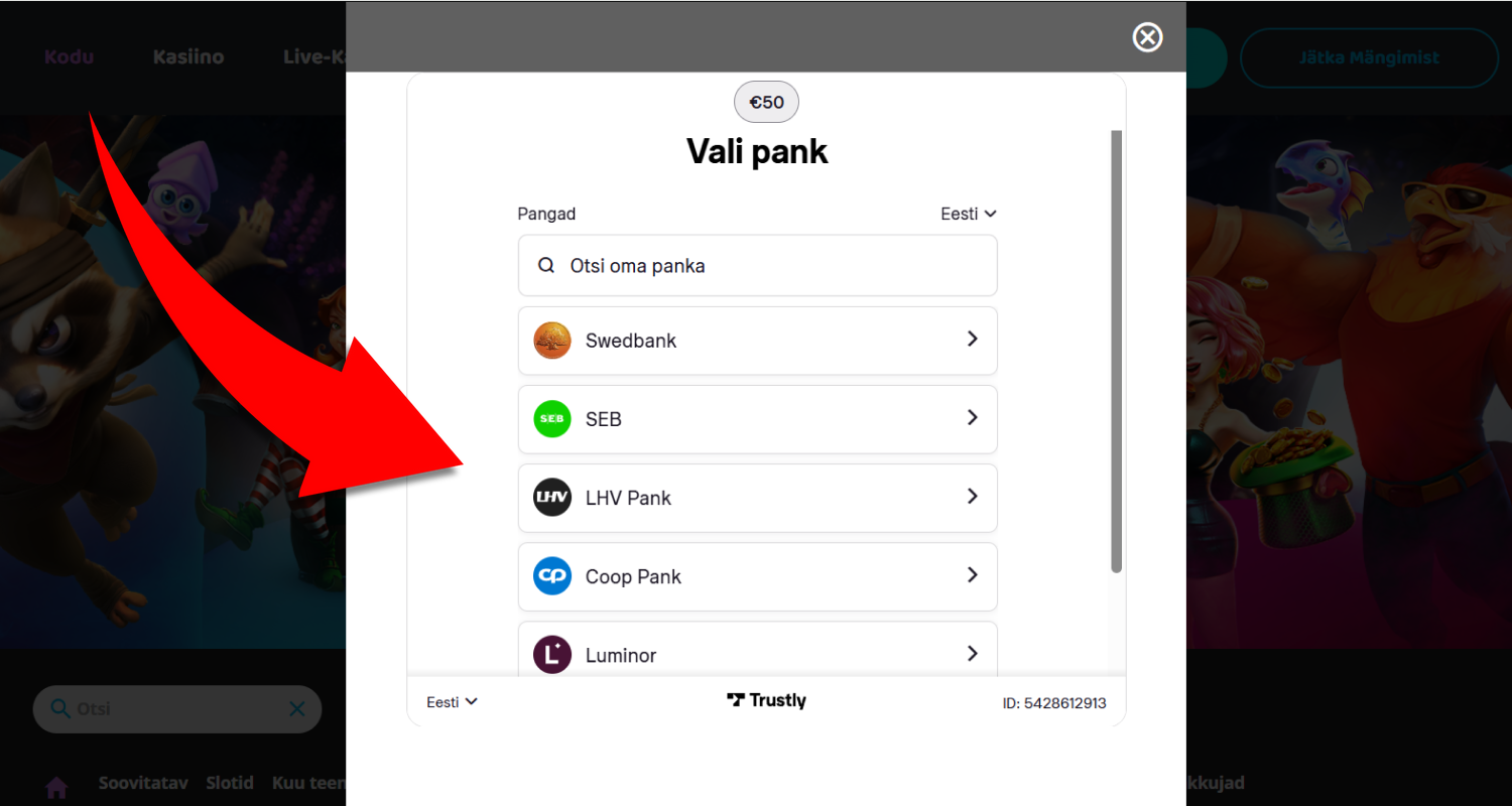 Valige endale sobiv makseviis ja täitke kõik nõutud väljad, seejärel vajutage jätkamise nupule