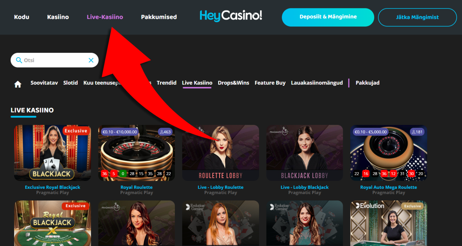 Viimases etapis avaneb makseteenuse liides, kus tuleb tehing kinnitada ja oodata raha laekumist kontole