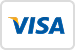 visa icon
