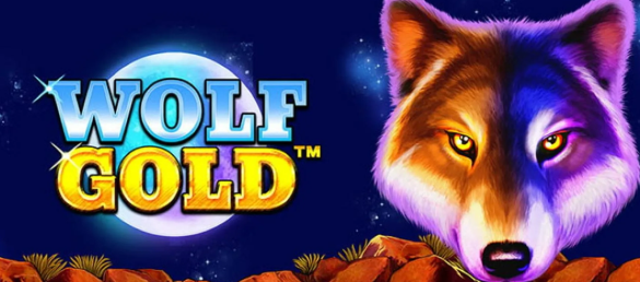 Wolf Gold