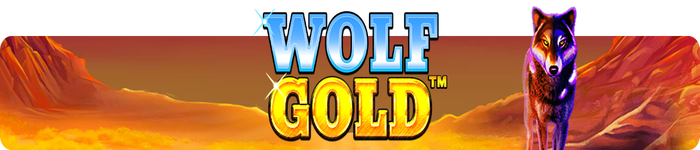 wolf-gold