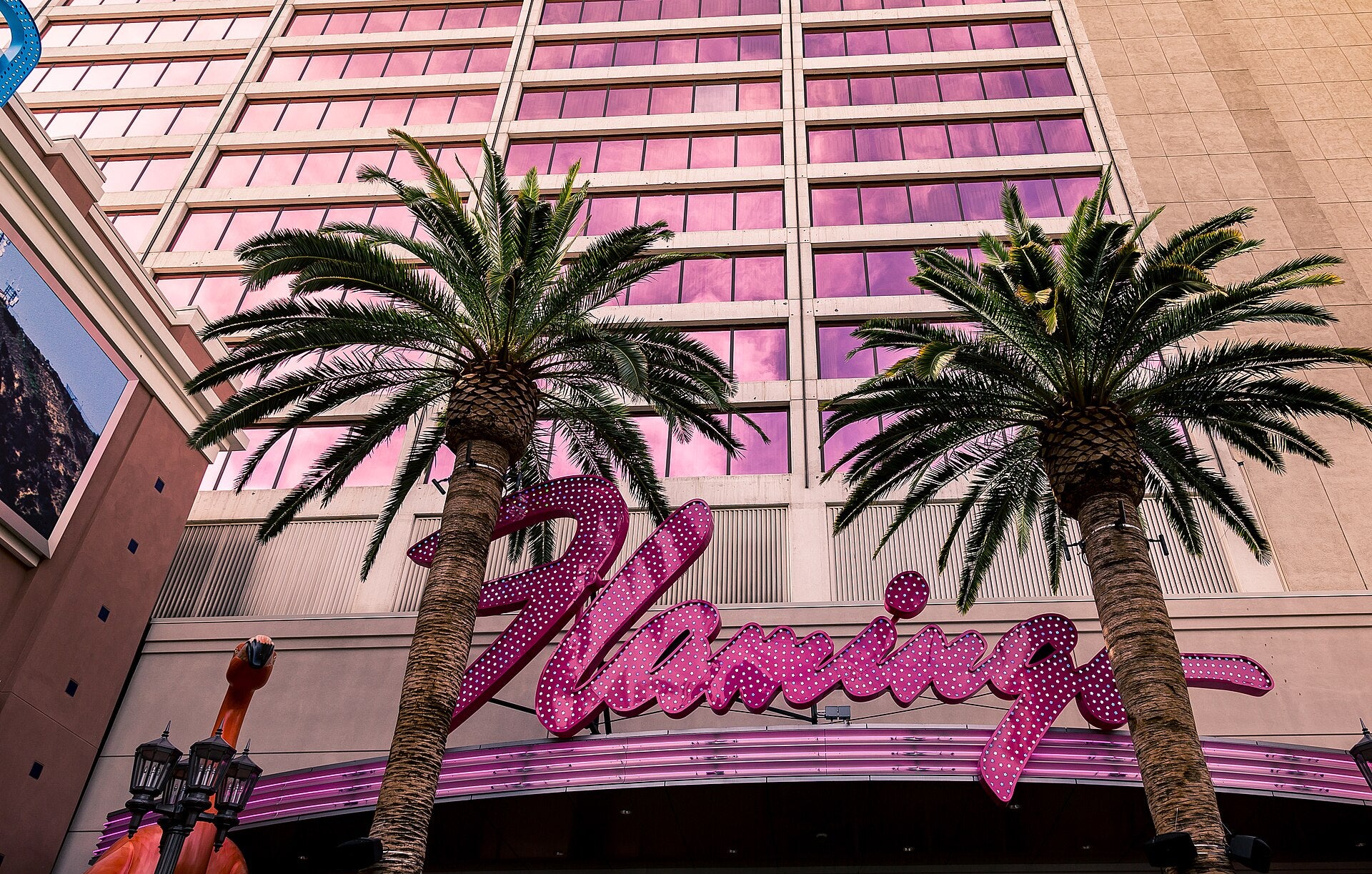 Pink neon Flamingo Las Vegas sign beneath palm trees on the hotel exterior
