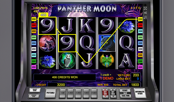 panther-moon-win panther-moon-win