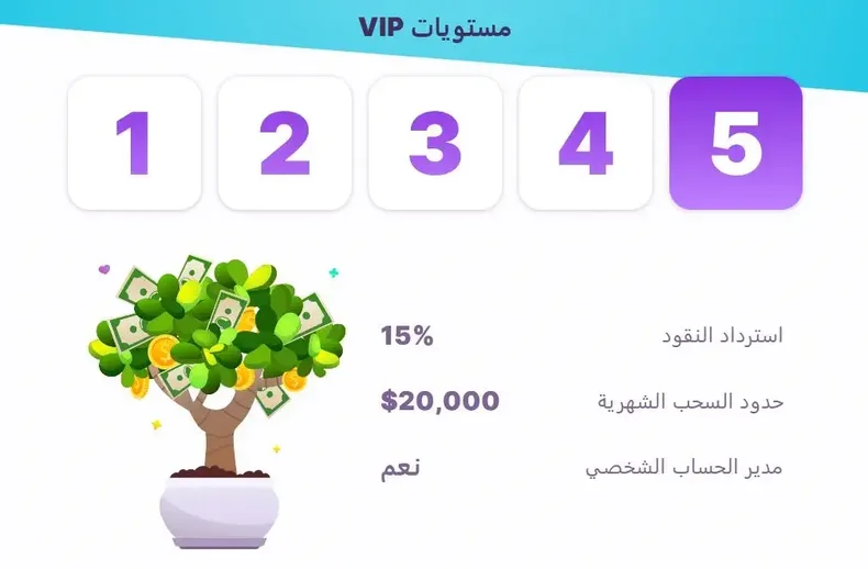 شروط برنامج VIP في كازينو نوميني