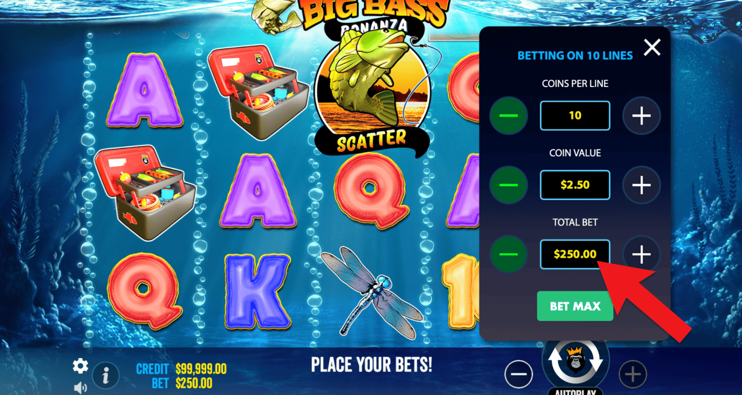 Pasirinkite statymo dydį Big Bass Bonanza žaidime Lietuvos kazino svetainėje