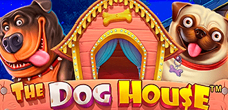 Dog House Megaways slot icon