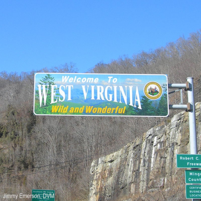 West Virginia Mulls iGaming Tax Hike