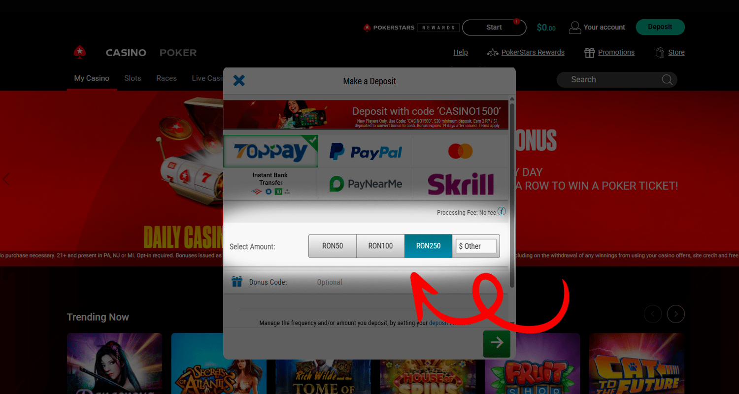 Pentru depunerea prin TopPay Introduceți suma