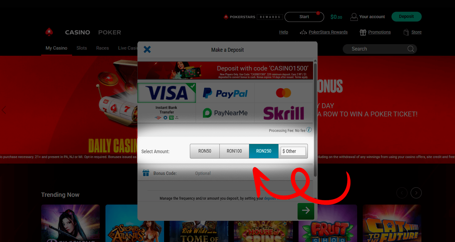 Pentru depunerea prin Visa Introduceți suma