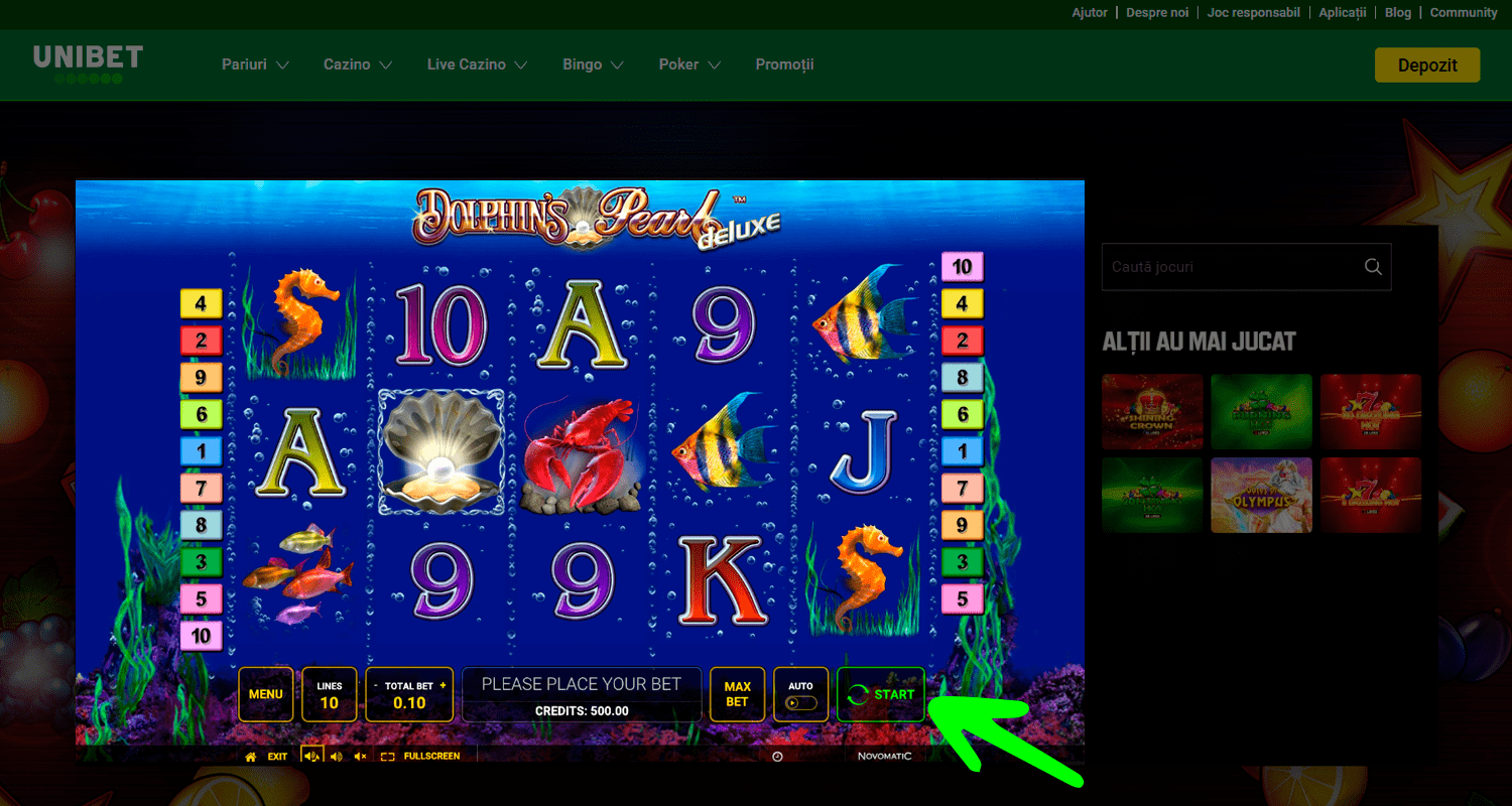 Pariați și începeți să jucați Dolphin's Pearl