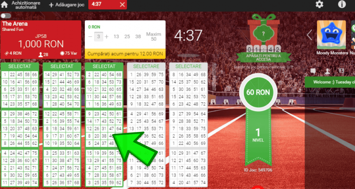 Începeți să jucați Bingo la un cazinou online