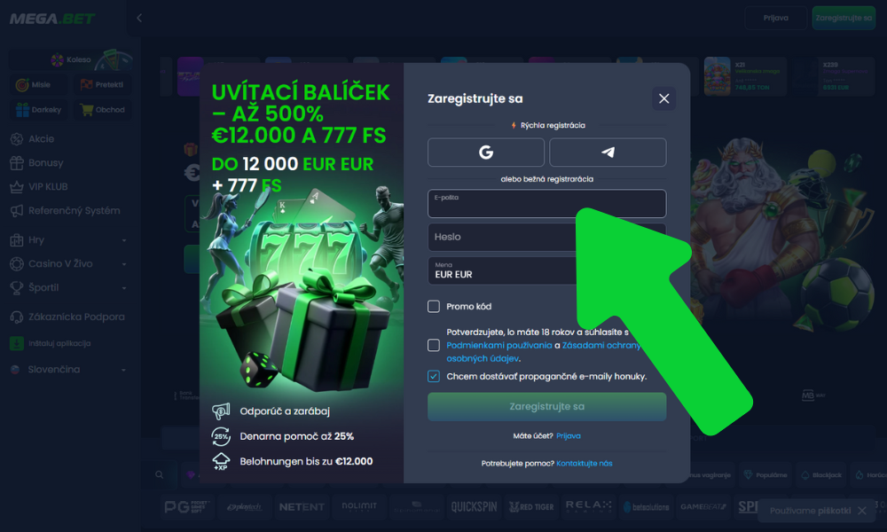 Vnesite svoje osnovne podatke