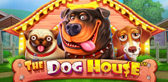 The dog house slot